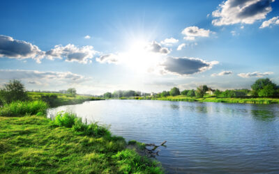 Le drainage agricole : un allié du sol et de la gestion de l’eau