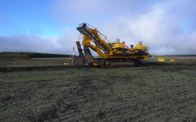 À quoi sert le drainage agricole ? Fonctions, rôle et importance pour les sols